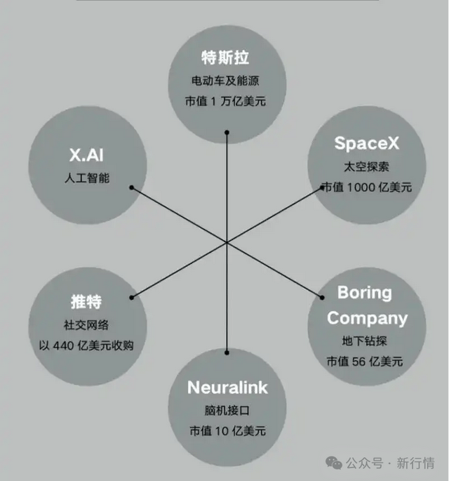 大美宿松丨华阳河湖群湿地成鸟类乐园 宿松资讯网