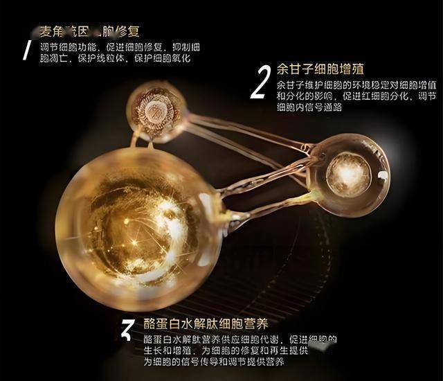 县政协召开民主评议县交运局工作专题座谈会 宿松资讯网